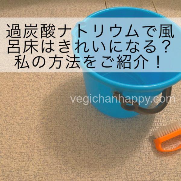 過炭酸ナトリウムで風呂床掃除 我が家の黒カビ除去の方法をご紹介します べじちゃん流ナチュラルな暮らし 過炭酸ナトリウムで風呂床掃除 我が家の黒カビ除去の方法をご紹介します べじちゃん流ナチュラルな暮らし